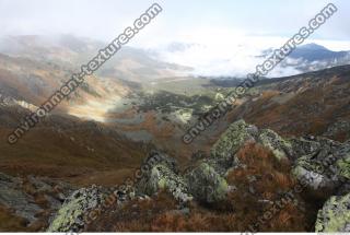 Photo Reference of Background Nature 0068
